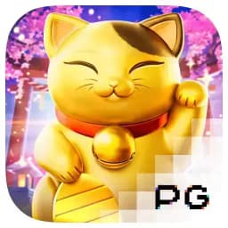 zimbabwe-portal: Lucky Neko
